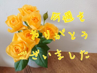今週もありがとうございました