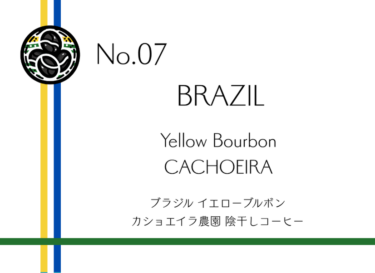 ブラジル 陰干しコーヒー カショエイラ農園 イエローブルボン