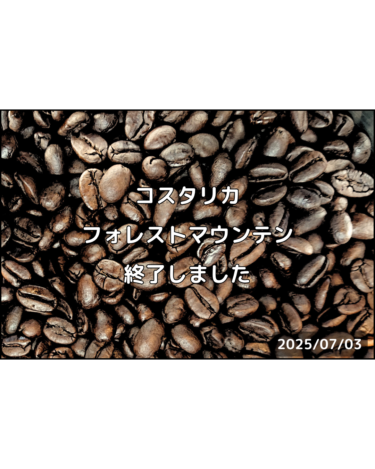 コスタリカ フォレストマウンテン終了しました